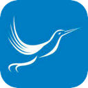 Fengniao Cracked VPN, 蜂鸟破解版翻墙app