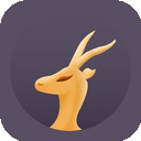 Lingyang Cracked VPN, 羚羊破解版翻墙app