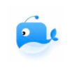 Orca Cracked VPN